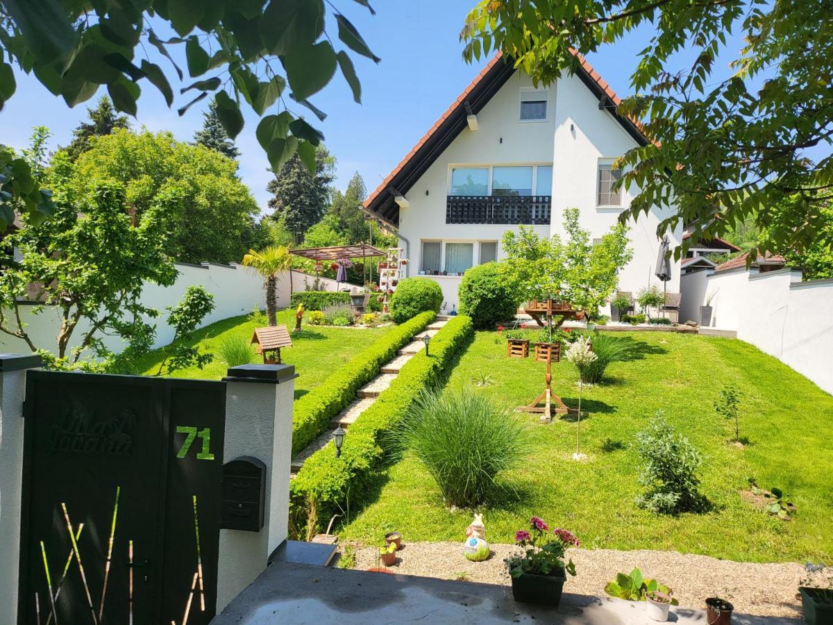 Vila Jovana Врдник Экстерьер фото