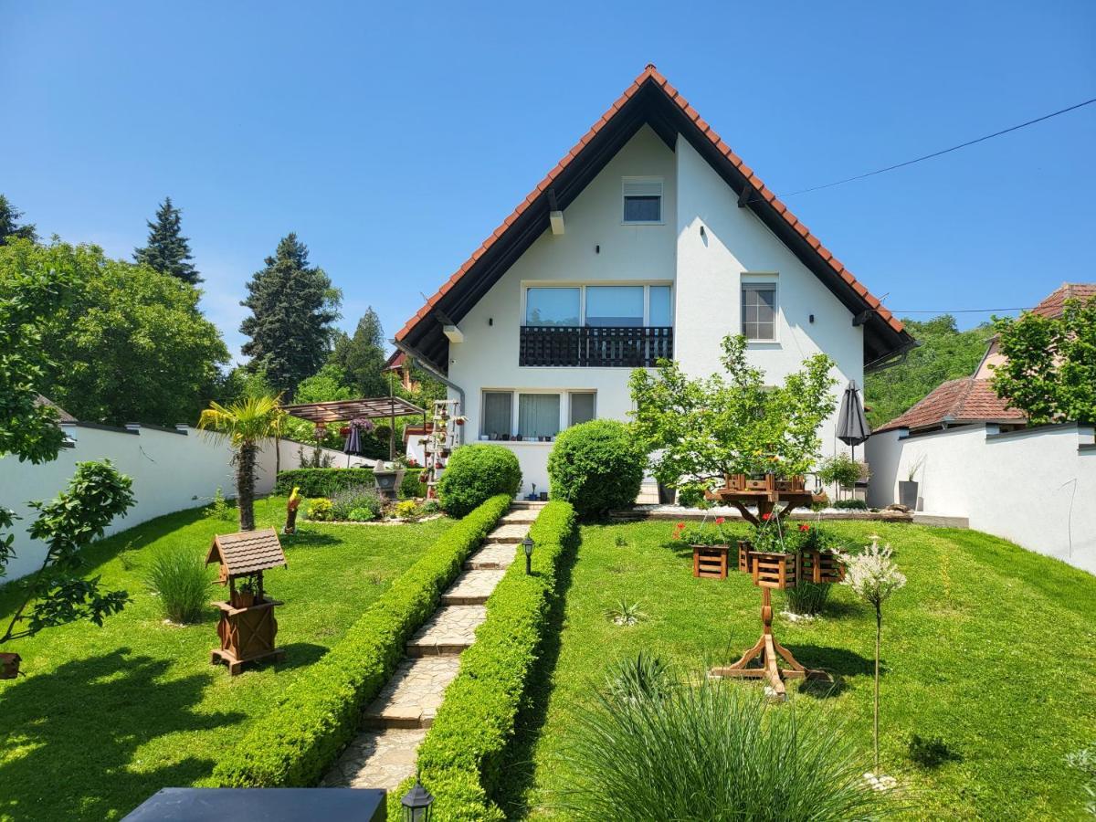 Vila Jovana Врдник Экстерьер фото