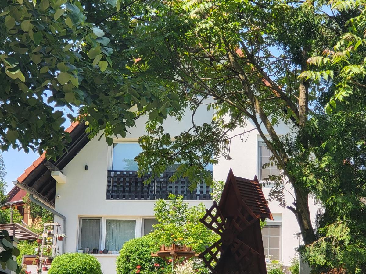 Vila Jovana Врдник Экстерьер фото