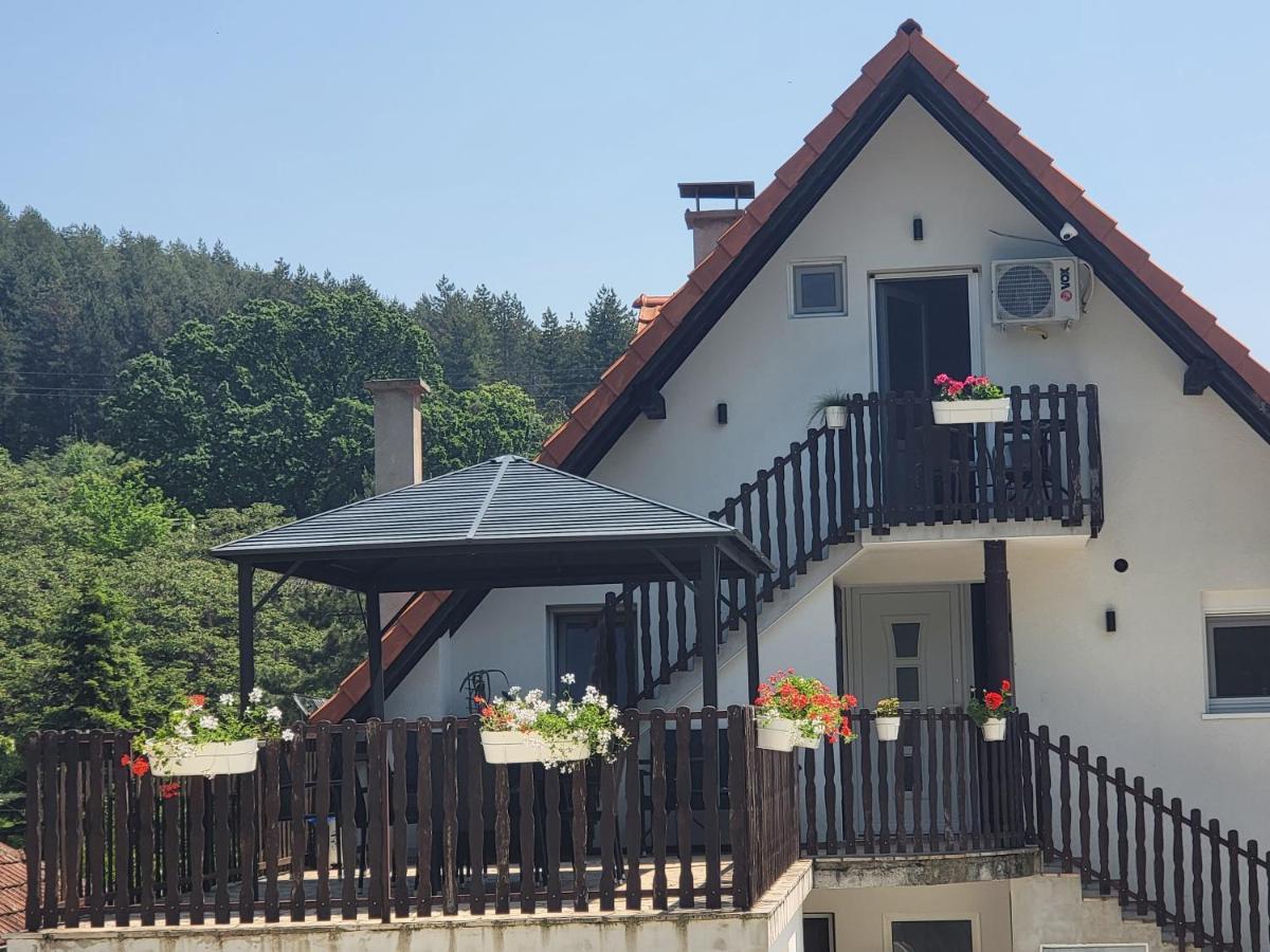 Vila Jovana Врдник Экстерьер фото