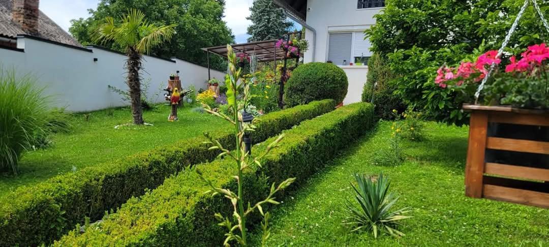 Vila Jovana Врдник Экстерьер фото